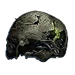 Preserved Cranium